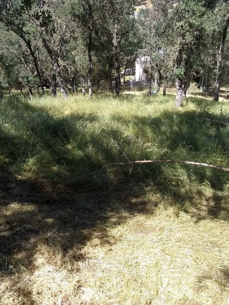 Custom lawn mowing service for homes across Farmington, CA - JK & L Weedeating Services