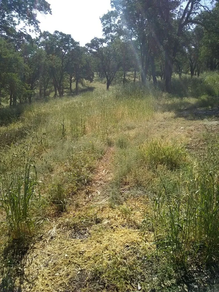 Reliable garden landscaping near you across Farmington, CA - JK & L Weedeating Services