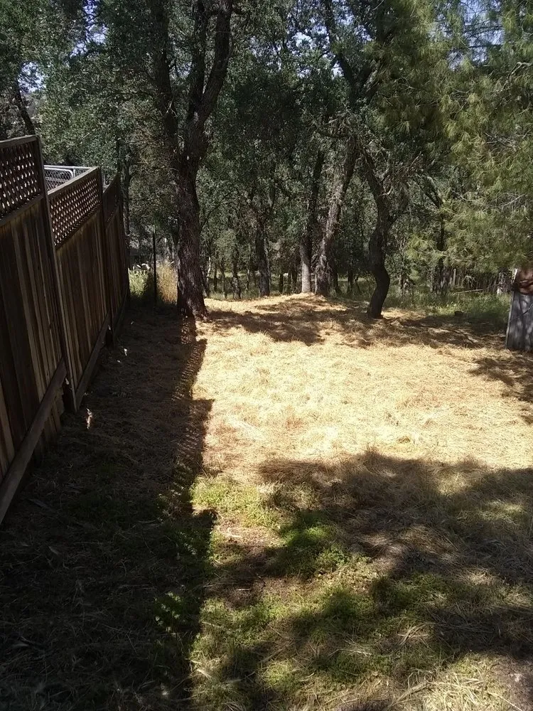 Top-rated residential landscaping experts serving Farmington, CA - JK & L Weedeating Services