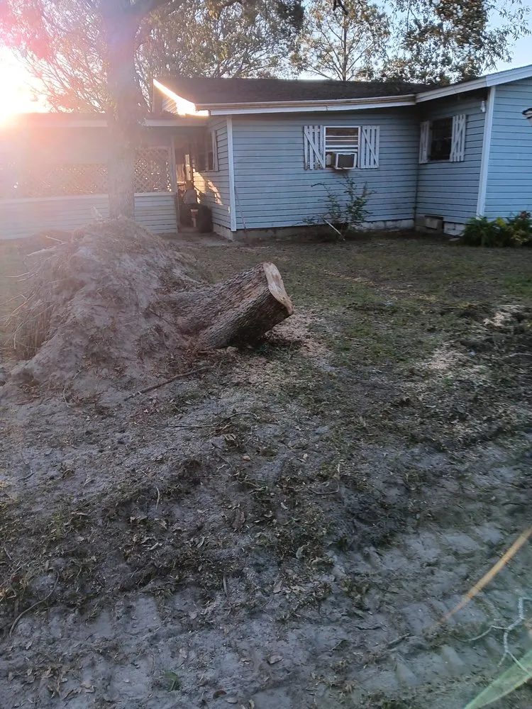 Expert residential landscaping in Lumber City, GA by J&K Construction Landscaping and Tree Removal Services