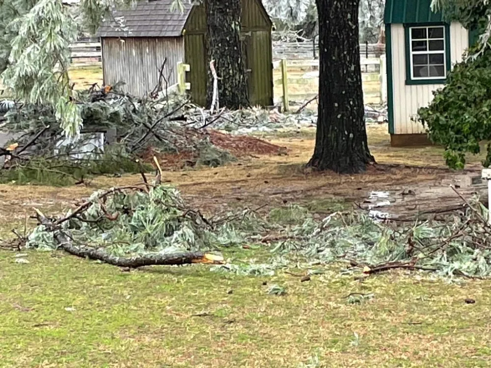 Top-rated residential landscaping experts serving Memphis, TN - J&K Construction