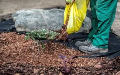 Professional yard maintenance in Culpeper, VA - JK Enterprise Landscape Supply