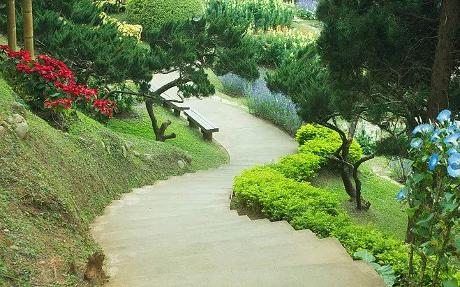 Professional landscaping services experts serving Washington DC, DC - JK Enterprises - Lawn Care Service