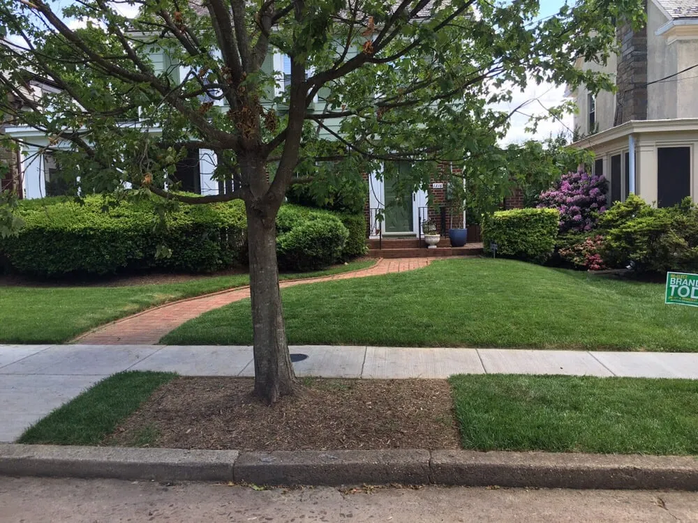 Trusted outdoor landscaping in Washington DC, DC - JK Enterprises - Lawn Care Service