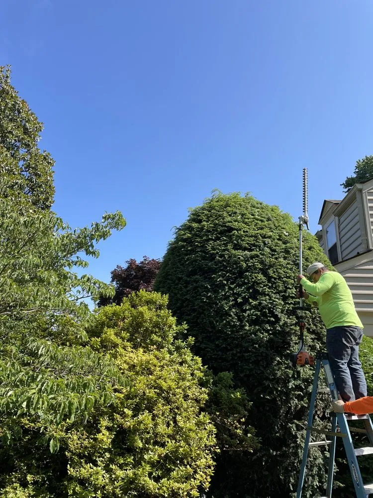 Top-rated lawn mowing service for beautiful yards in Frederick, MD by JK Gardening Lawn & Garden Care