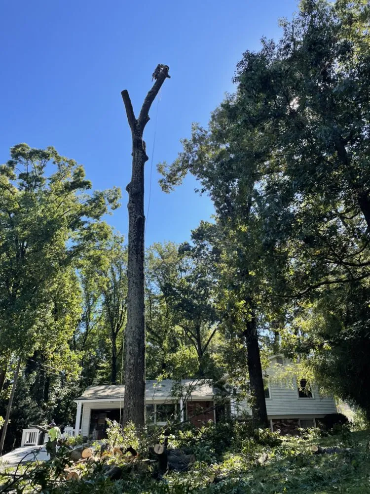 Reliable garden landscaping experts serving Annandale, VA - JK Green Services