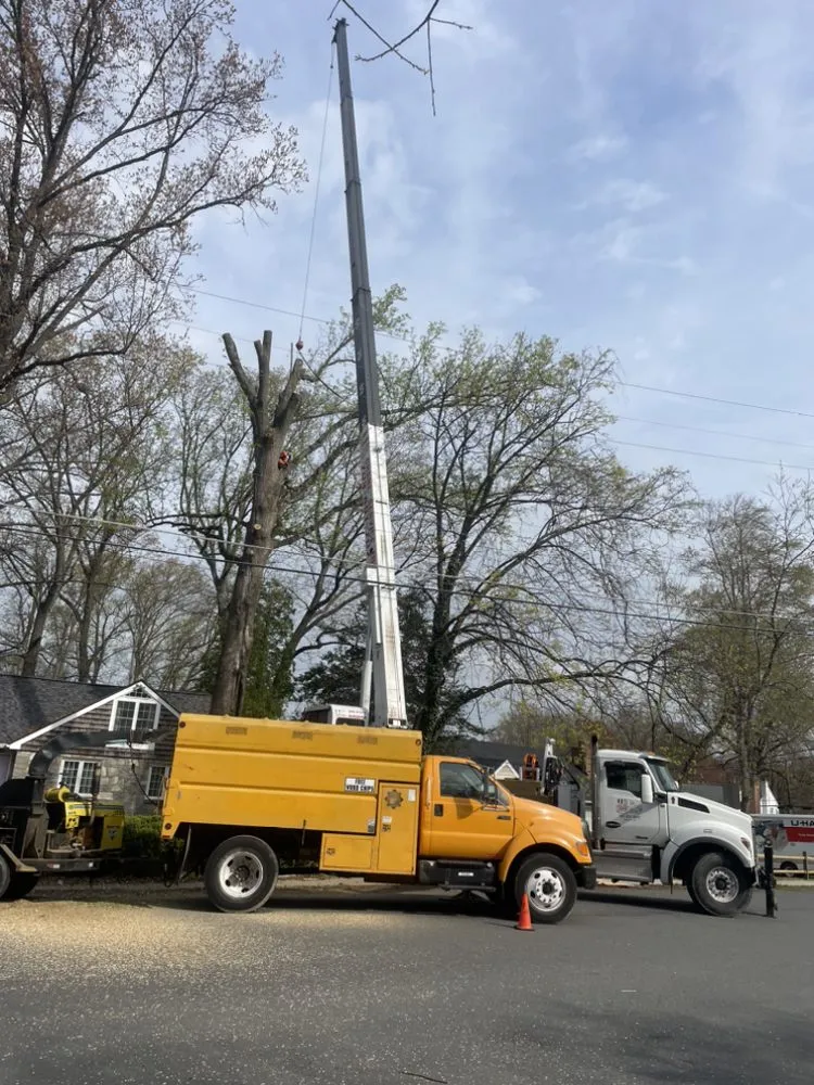 Top-rated landscaping services with custom design across Annandale, VA - JK Green Services