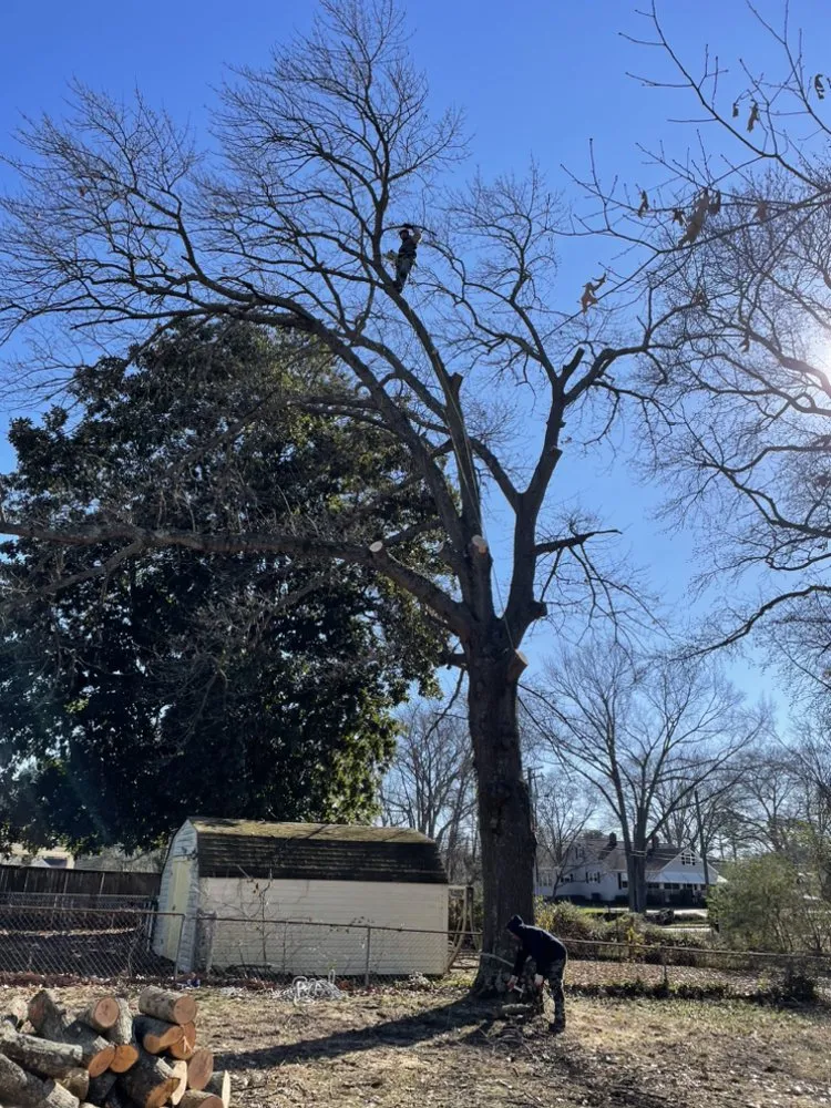 Trusted landscape installation experts serving Annandale, VA - JK Green Services