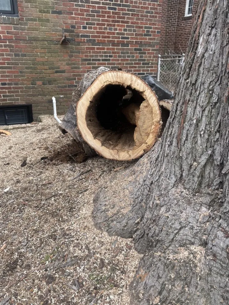 Affordable landscape design for residential properties in Annandale, VA by JK Green Services