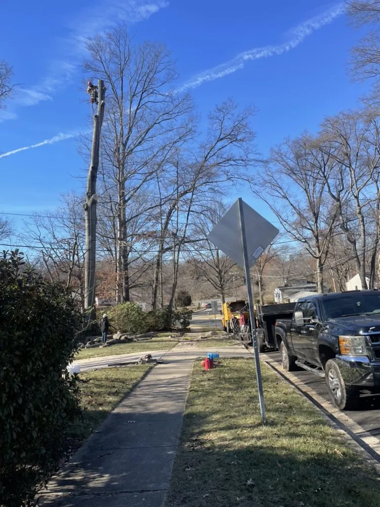 Reliable yard maintenance for residential properties in Annandale, VA by JK Green Services