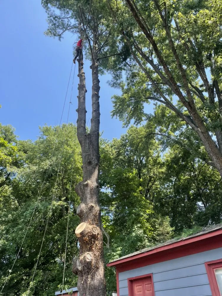 Expert garden landscaping for outdoor upgrades across Annandale, VA - JK Green Services