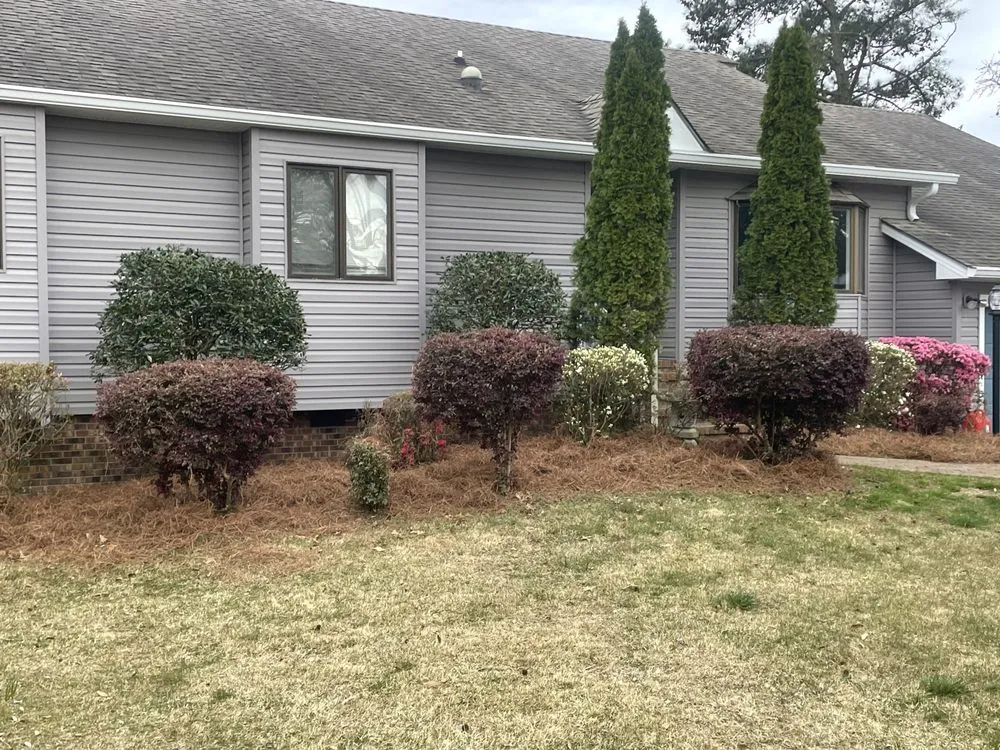 Expert landscape design for year-round maintenance across Edward, NC - J&K Greensceaps