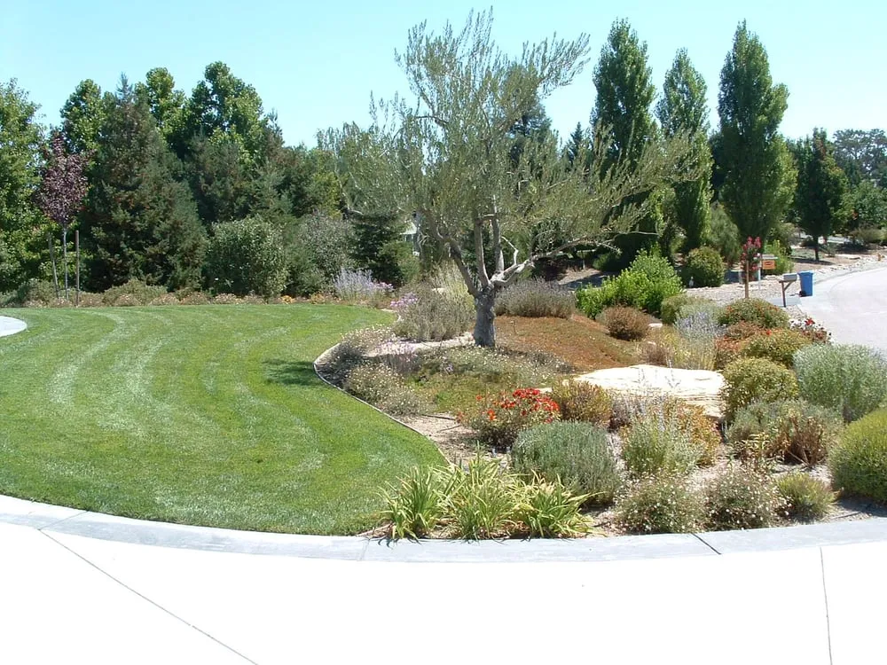 Top-rated lawn care service in San Miguel, CA by JK Landscape Maintenance