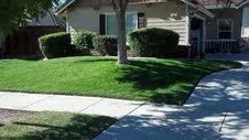 Local landscaping services experts serving San Miguel, CA - JK Landscape Maintenance