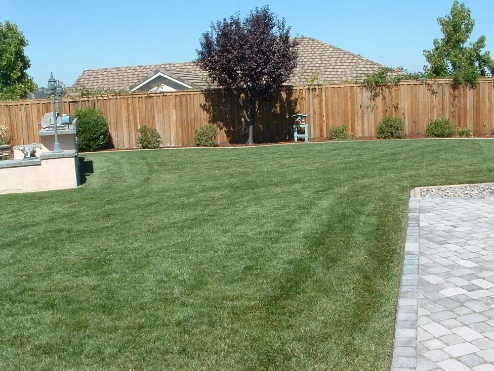 Top-rated landscape installation experts serving San Miguel, CA - JK Landscape Maintenance