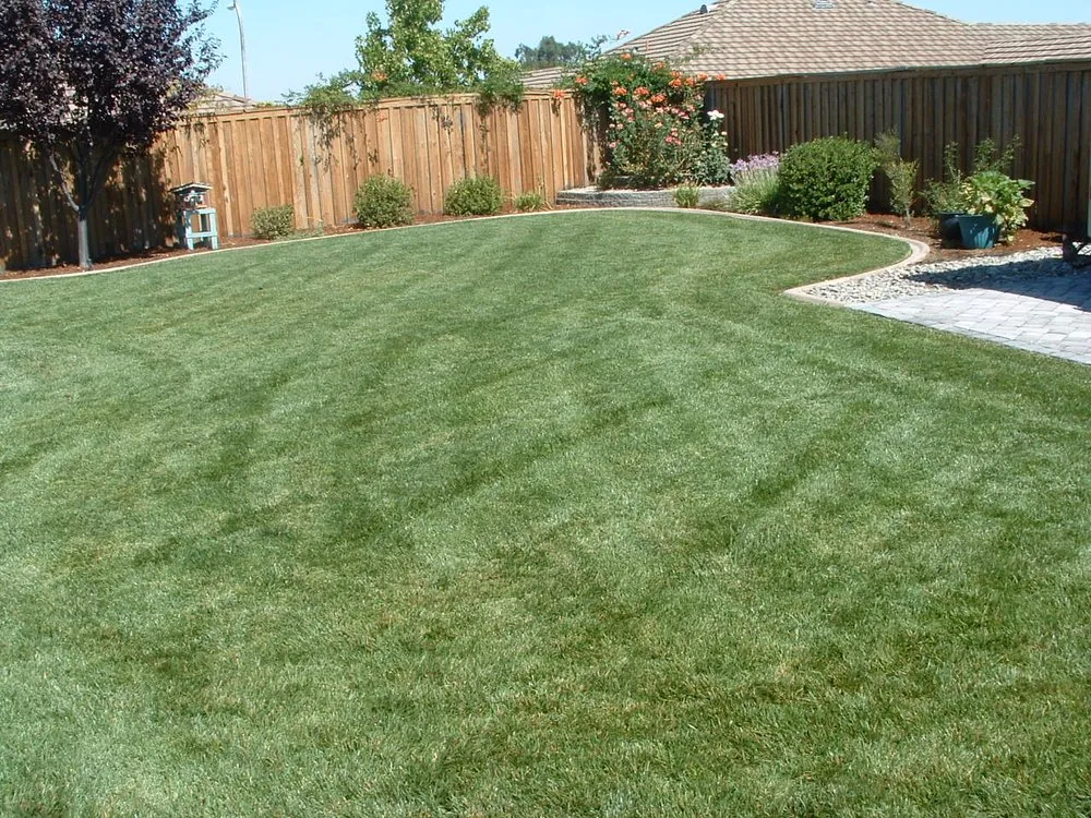 Trusted landscaping services in San Miguel, CA by JK Landscape Maintenance