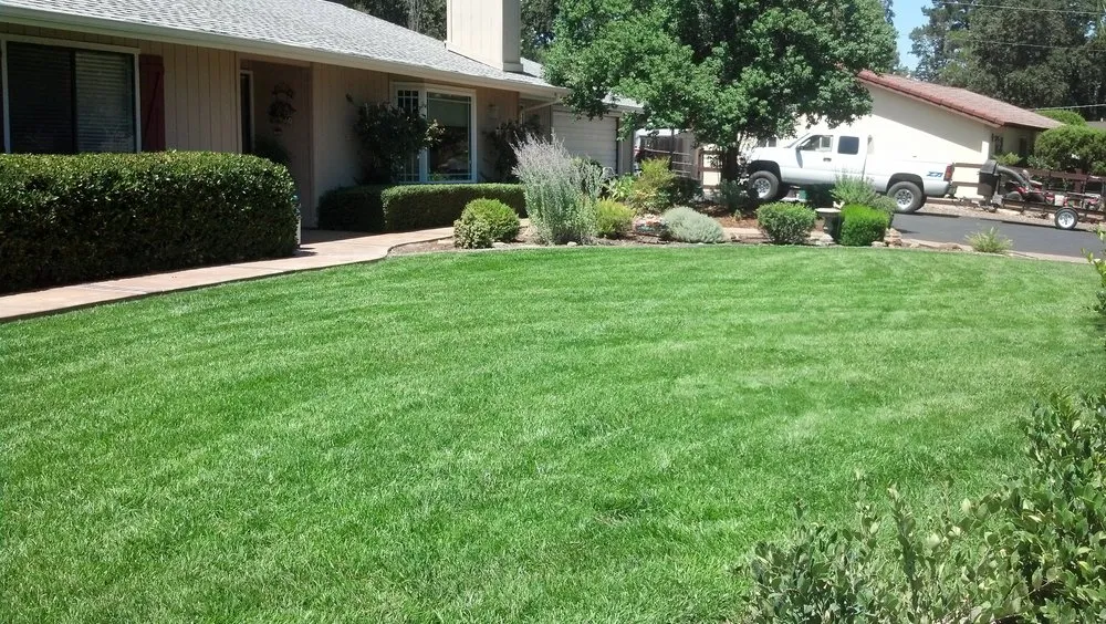 Custom yard cleanup service for outdoor upgrades in San Miguel, CA by JK Landscape Maintenance