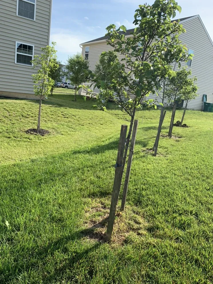 Trusted outdoor landscaping in Wilmington, DE by J&K Landscaping and Hardscaping