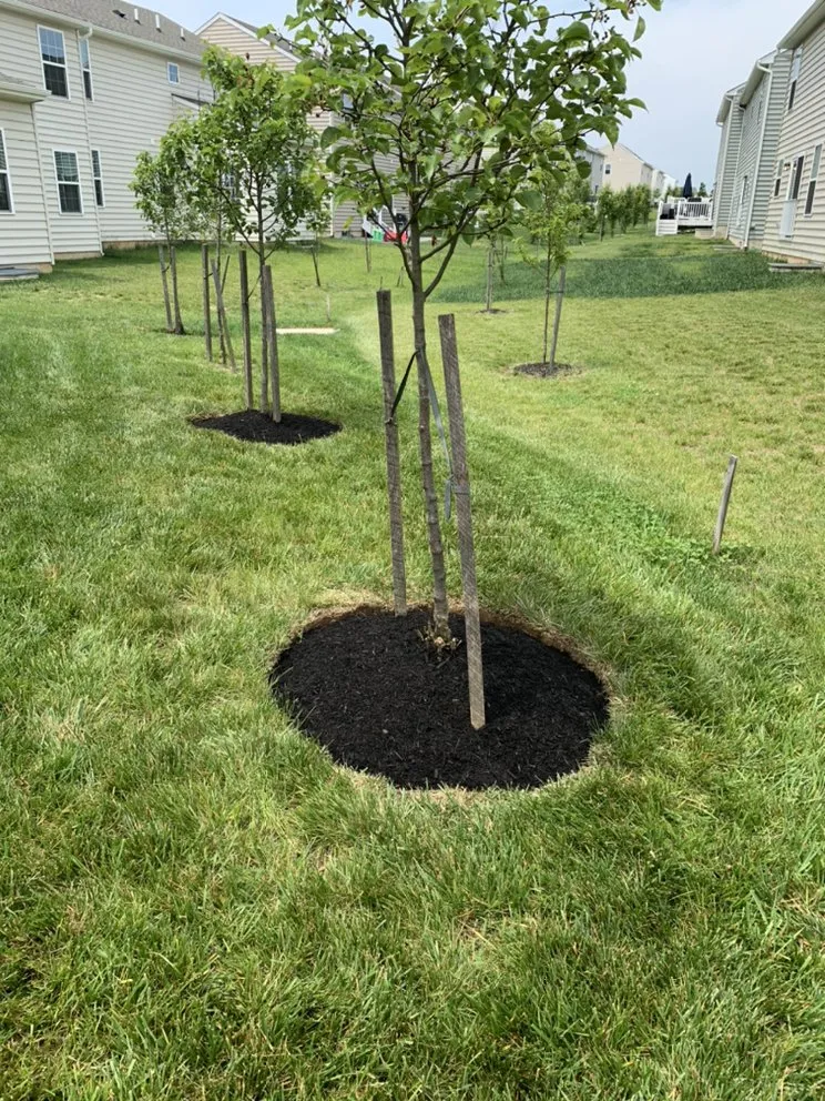 Trusted garden landscaping experts serving Wilmington, DE - J&K Landscaping and Hardscaping