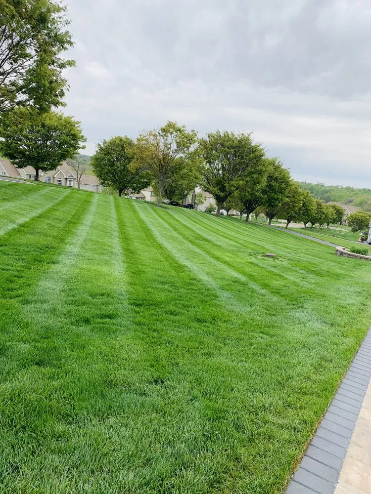 Local garden landscaping in Wilmington, DE by J&K Landscaping and Hardscaping