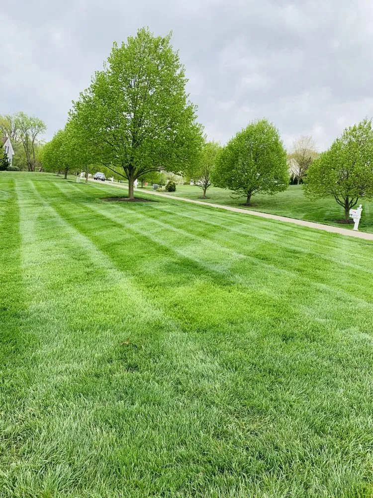 Affordable yard cleanup service in Wilmington, DE - J&K Landscaping and Hardscaping