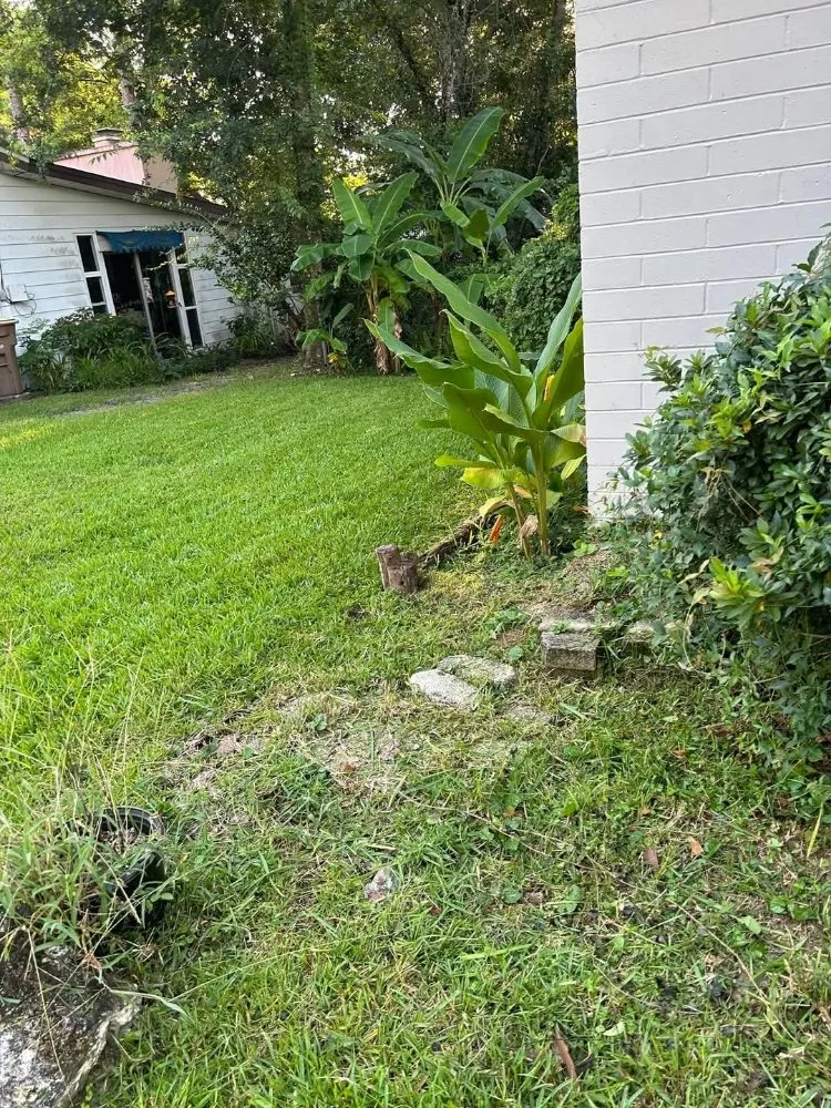 Trusted yard maintenance for beautiful yards across Ocala, FL - Jk Landscaping and Lawn Care Service