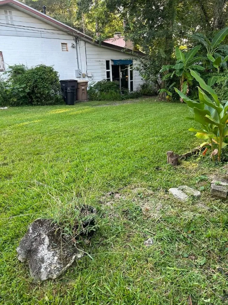 Custom yard cleanup service in Ocala, FL by Jk Landscaping and Lawn Care Service