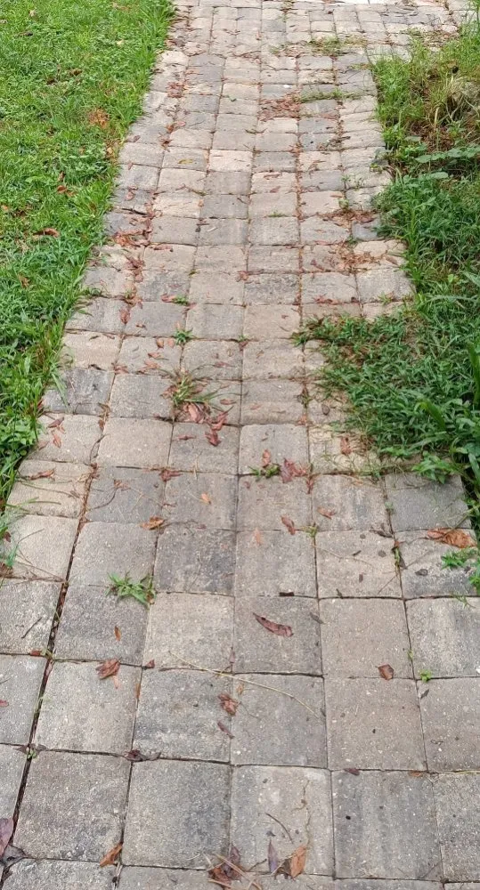 Expert landscape design in Ocala, FL - Jk Landscaping and Lawn Care Service