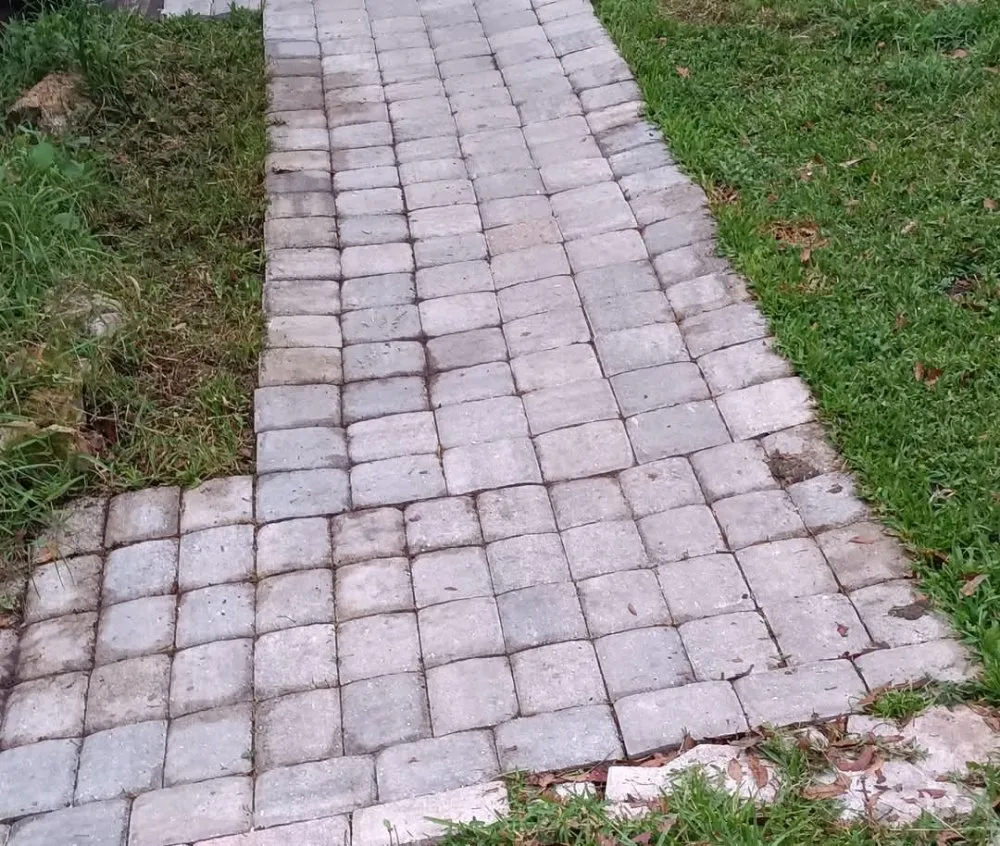 Professional landscaping services experts serving Ocala, FL - Jk Landscaping and Lawn Care Service