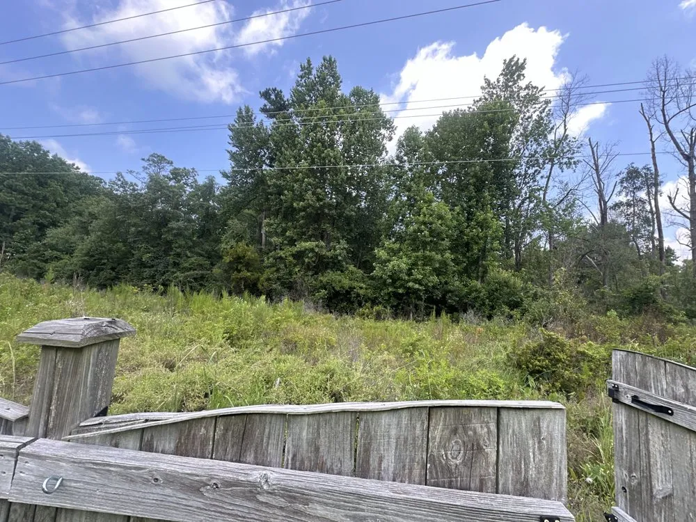 Trusted lawn care service experts serving Lexington, SC - Jk Landscaping