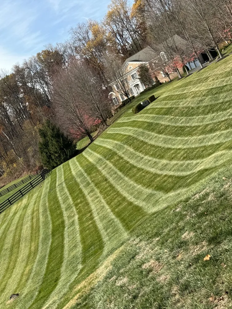 Trusted landscaping services experts serving Sterling, VA - Jk Landscaping