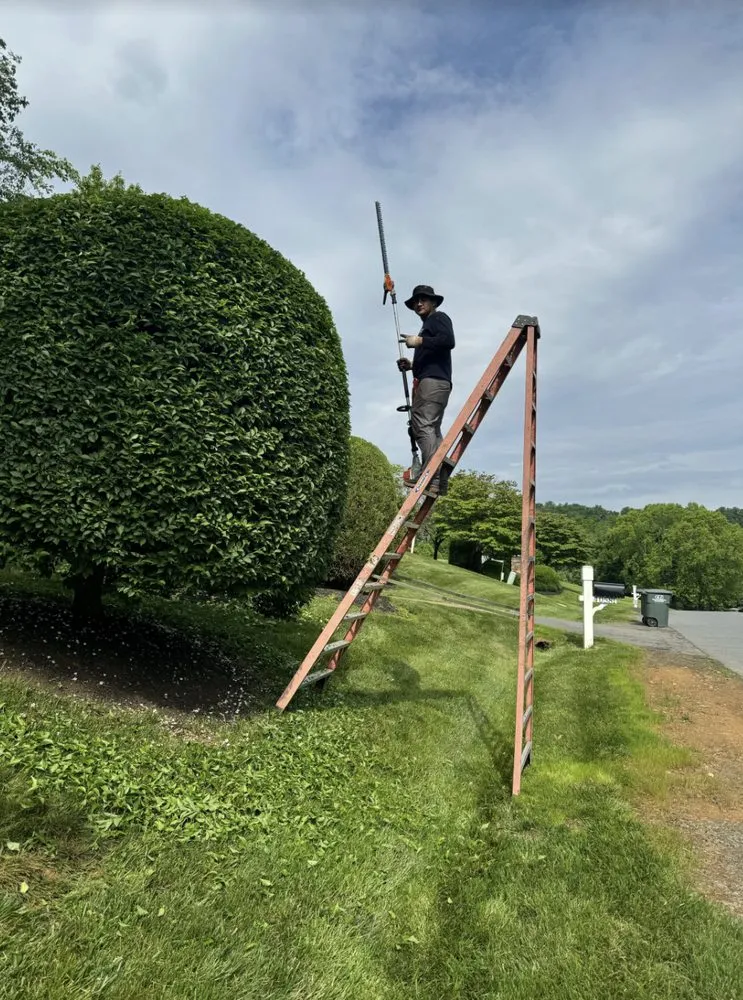 Trusted landscaping services experts serving Sterling, VA - Jk Landscaping