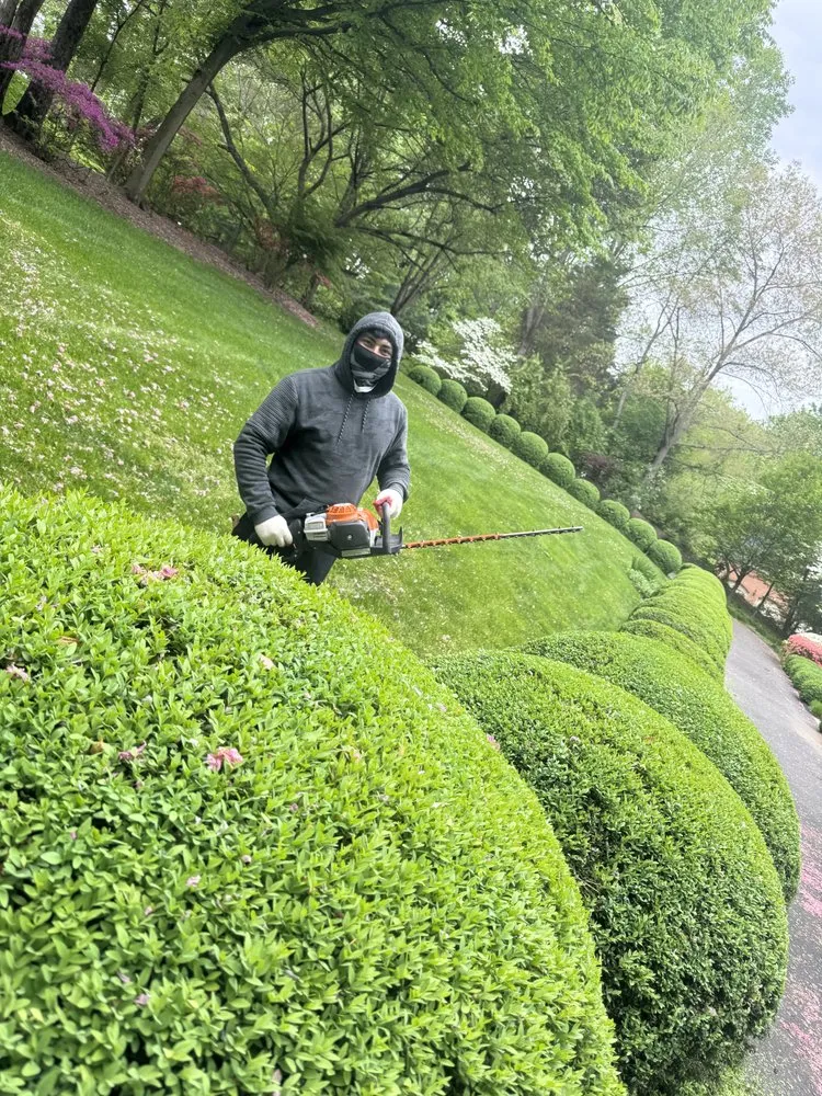 Expert landscaping services in Sterling, VA - Jk Landscaping