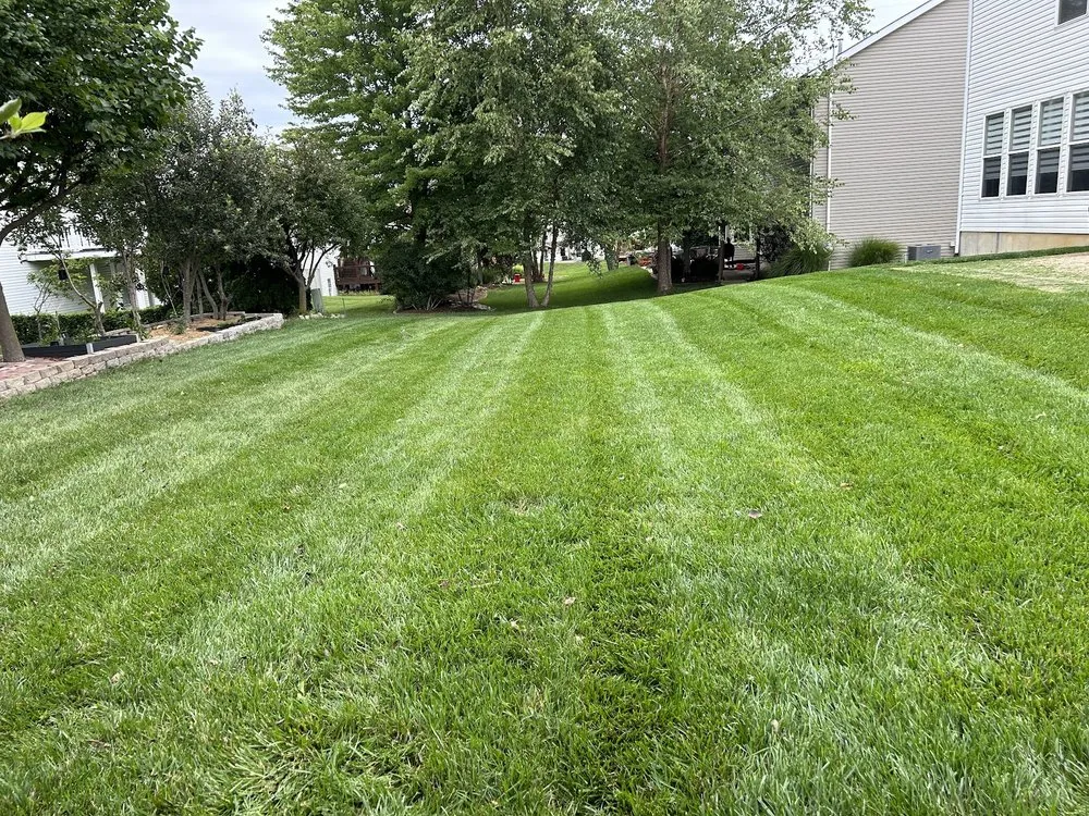 Affordable landscaping services in Wentzville, MO - J&K Lawn & Snow