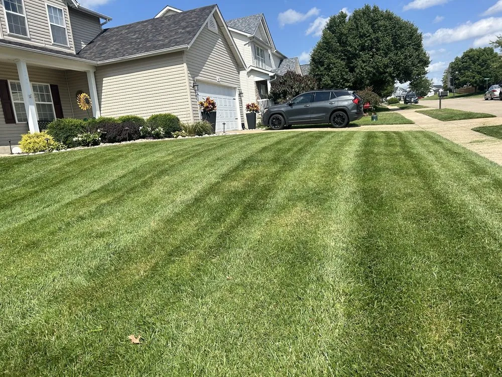Expert yard cleanup service near you across Wentzville, MO - J&K Lawn & Snow