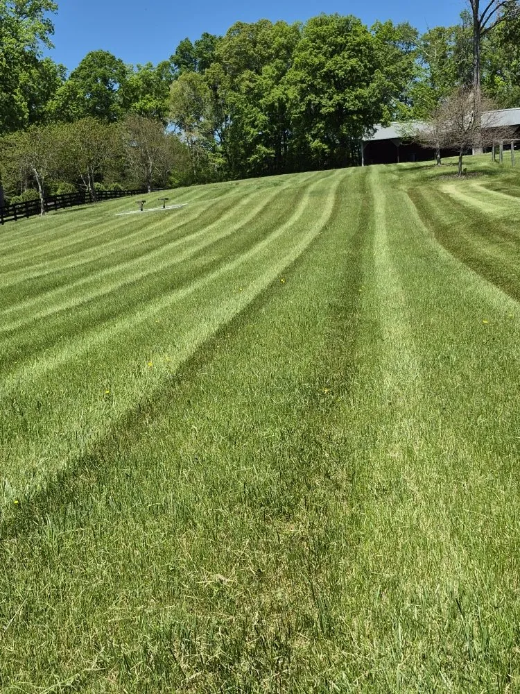Reliable yard cleanup service near you across Brightwood, VA - J&K Lawn Care