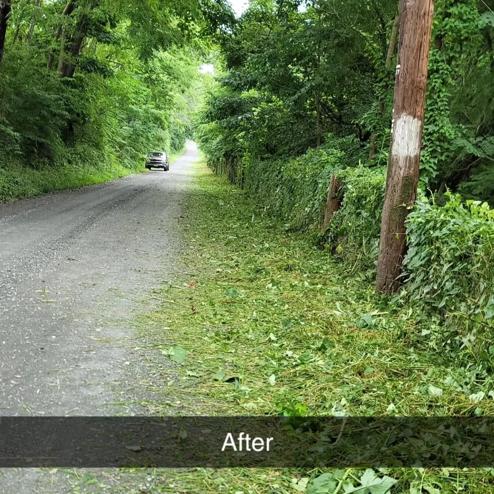 Custom landscape design for outdoor upgrades across Brightwood, VA - J&K Lawn Care