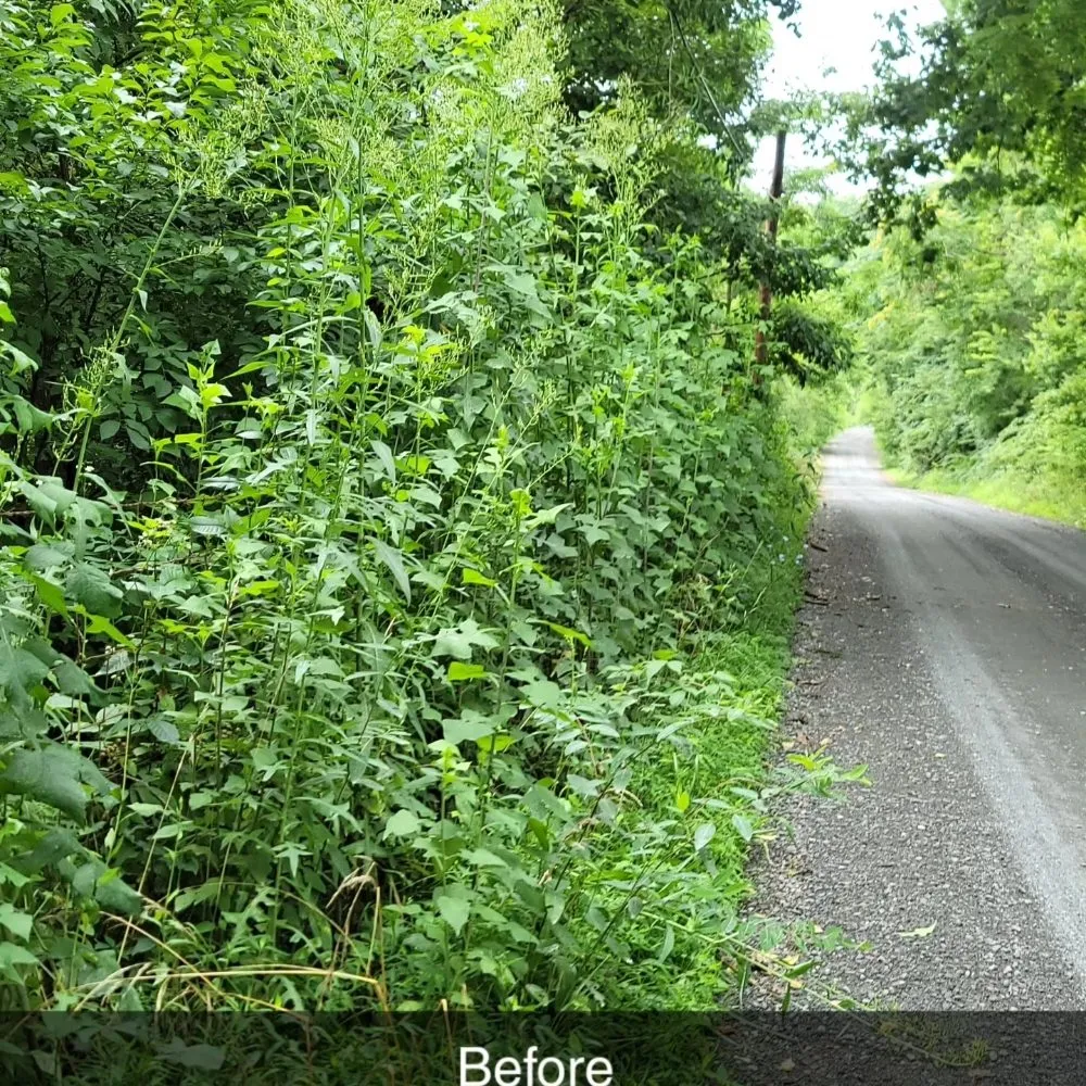 Custom landscaping services in Brightwood, VA - J&K Lawn Care