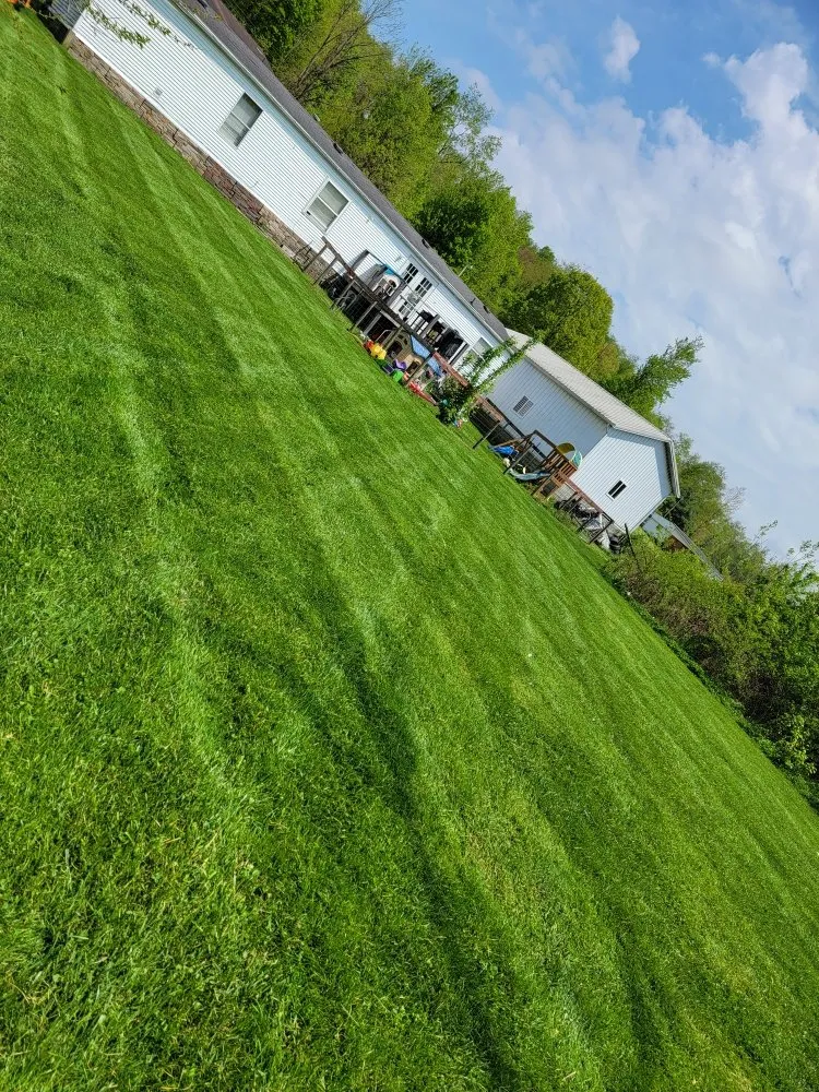 Local yard cleanup service in Fredericksburg, OH by J&K Lawn care