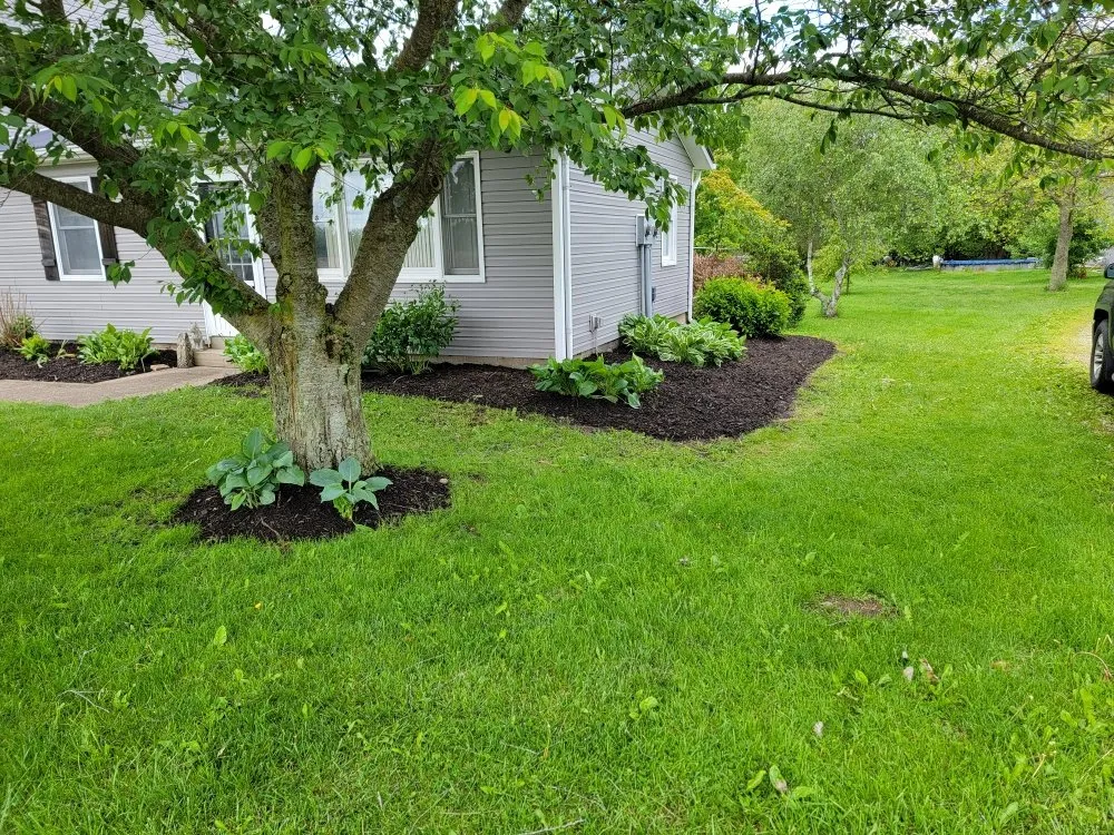 Trusted landscape design experts serving Fredericksburg, OH - J&K Lawn care