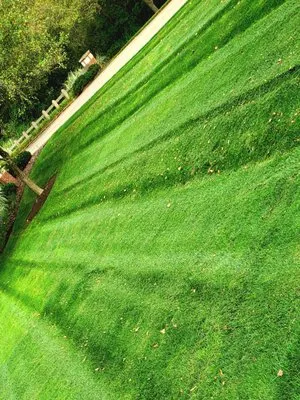 J&K Lawn care