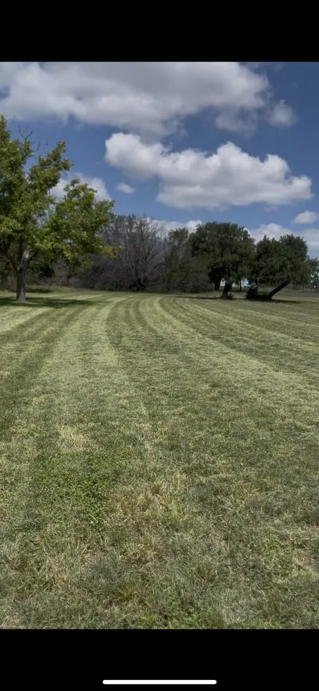 Local yard cleanup service in Kerrville, TX by JK Lawn Care