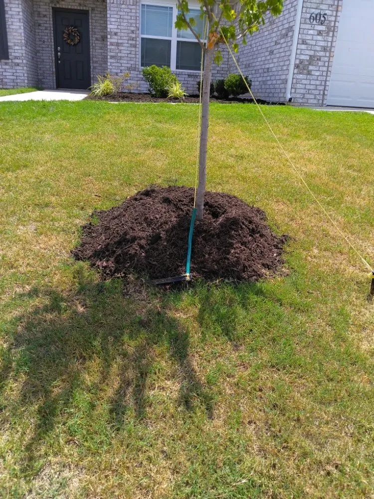 Top-rated outdoor landscaping experts serving Pea Ridge, AR - J&K Lawncare & Handyman Services