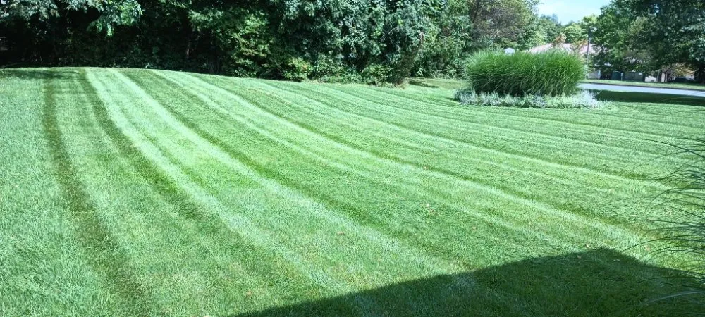 Reliable landscaping services in Morrisdale, PA - JK Mowing