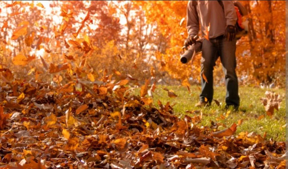 Affordable yard maintenance in Morrisdale, PA - JK Mowing