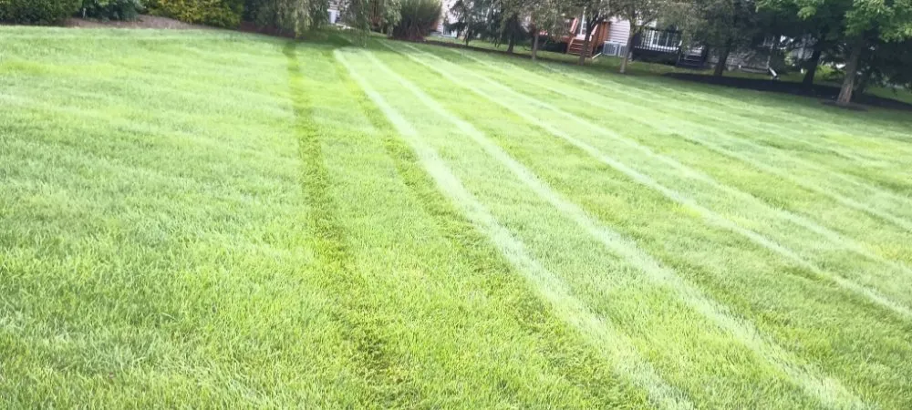 Expert landscaping services with custom design in Morrisdale, PA by JK Mowing