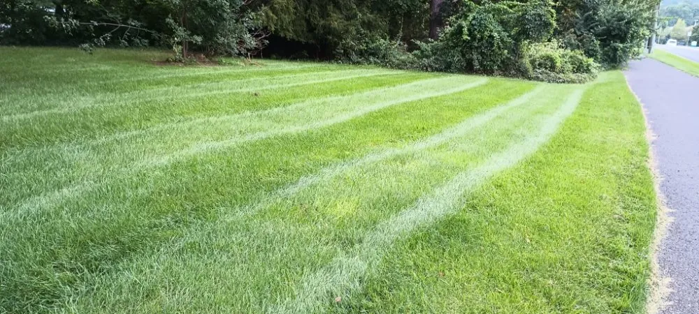 Local yard maintenance for homes in Morrisdale, PA by JK Mowing