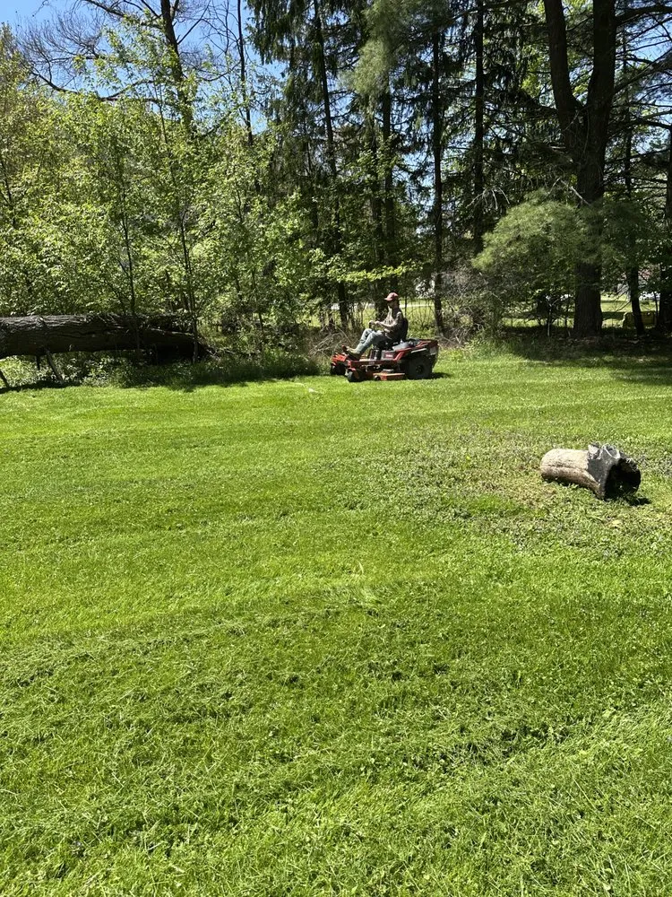 Professional residential landscaping experts serving Morrisdale, PA - JK Mowing