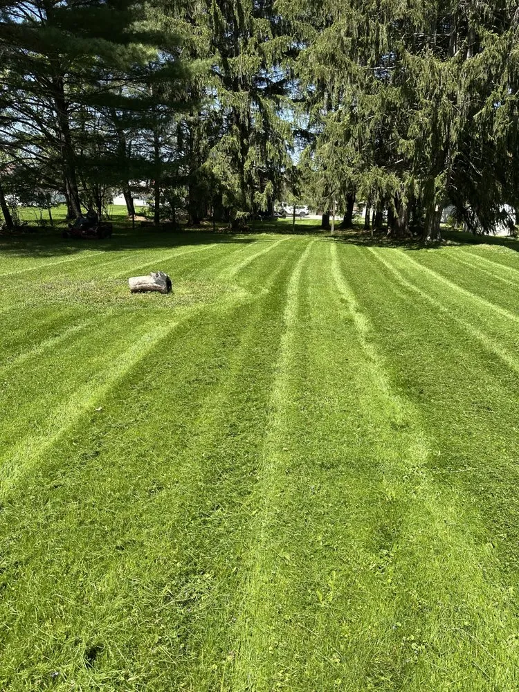 Expert residential landscaping experts serving Morrisdale, PA - JK Mowing