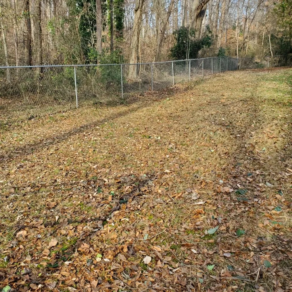 Reliable lawn care service in Inman, SC by J&K Property Clean Up